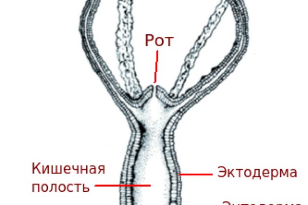 Рабочие ссылки и зеркала кракен