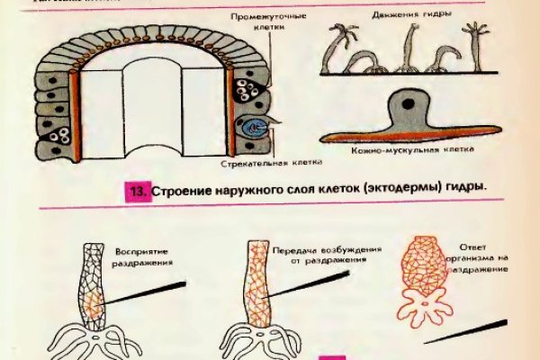 Kraken ссылка для тору